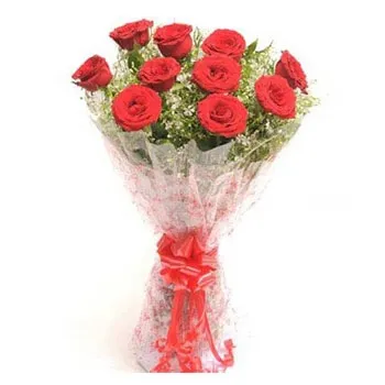 12 Imported Red Roses