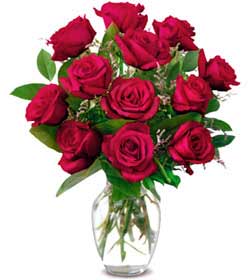 Red Roses in Vase 