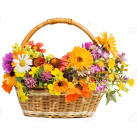flowers-baskets