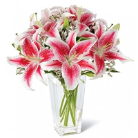 lilies