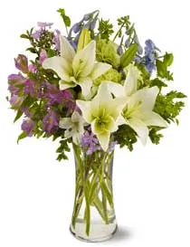 Pretty Fragrance