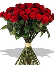 49 Red Roses