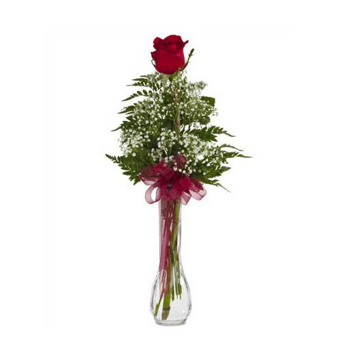 Single Rose In A Vase