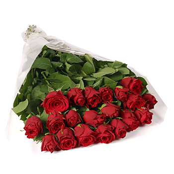Imported Red Roses
