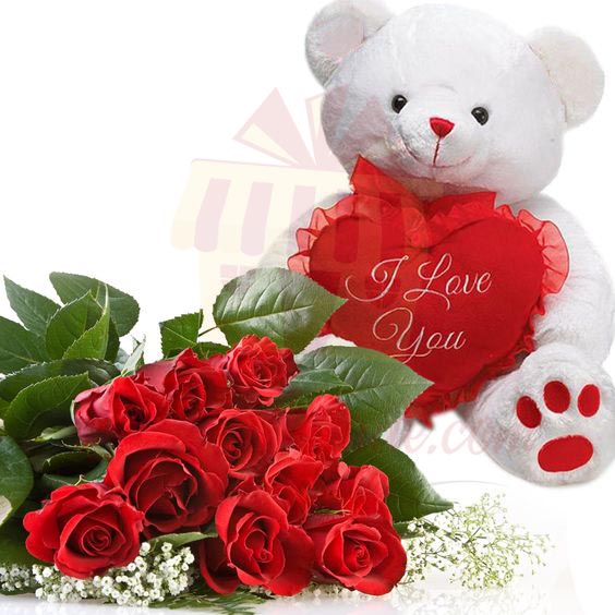 Roses With Teddy