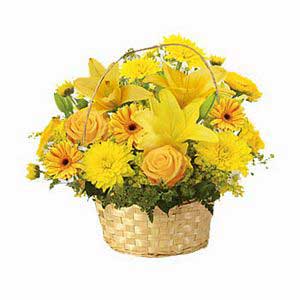 Sunshine Basket