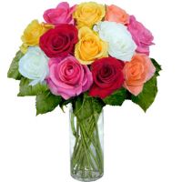 2-dozen-mixed-roses