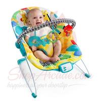 bouncer-with-auto-rocker
