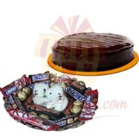 teddy-choco-tray-with-cake