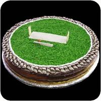 cricket-ground-4-lbs