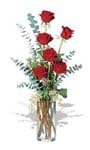 6-red-roses-imported