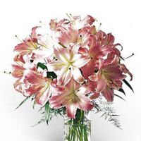 lilies-elegance
