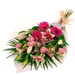 soft-in-pink