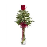 single-rose-in-a-vase