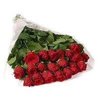 imported-18-red-roses