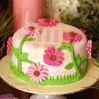 pink-daisies-cake-4lbs