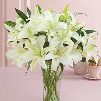 white-lilies-arrangement